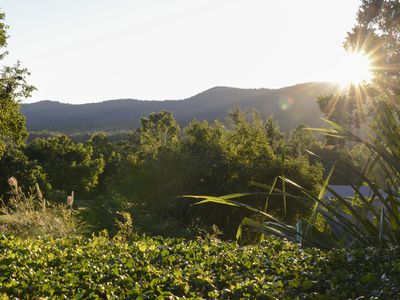 45 Kookaburra Drive, Cannonvale