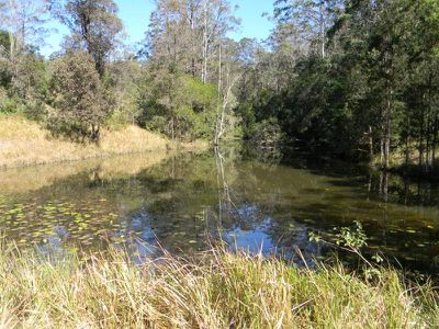 Maleny