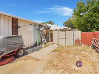 62 Strelitzia Avenue, Forrestfield