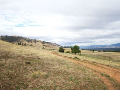 165 Reid Lane, Kergunyah