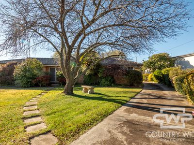 72 Heron Street, Glen Innes