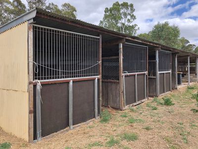 125 Heinz Street, East Bendigo