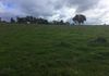 - Loch Lomond Road, Gooloogong