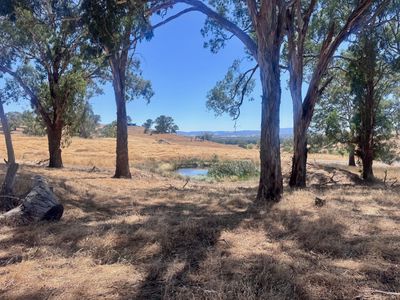 84 Owens Creek Drive, Mansfield