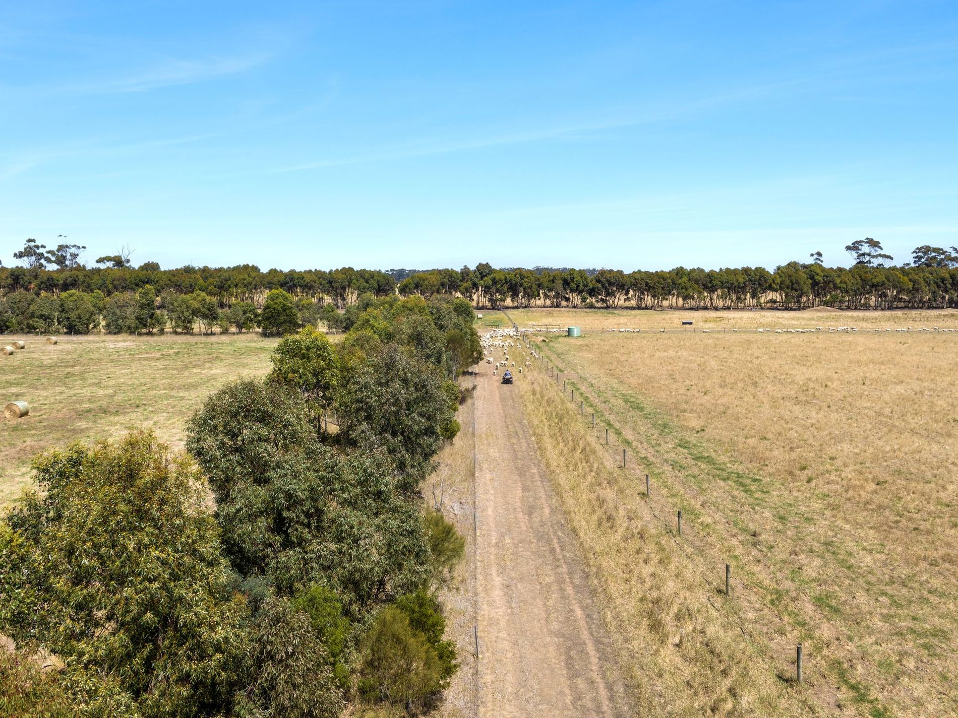 498 Four Tree Road, Lismore