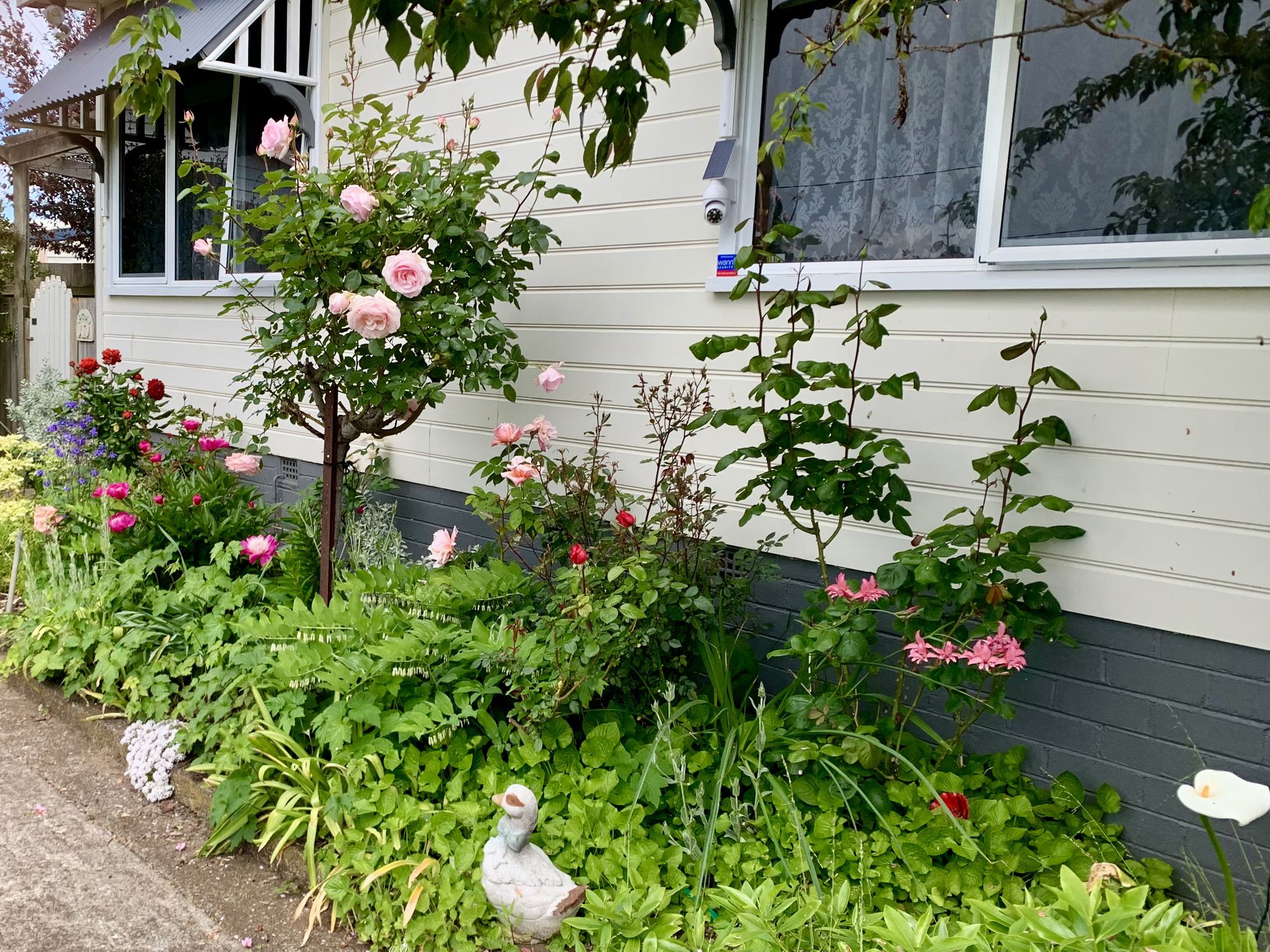 7 Raymond Avenue, Devonport