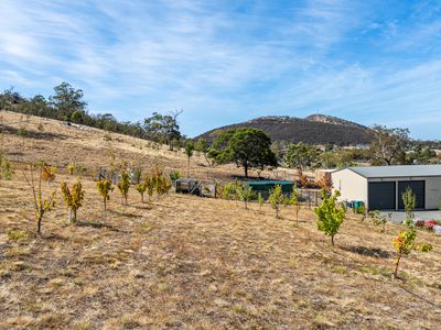 180 Middle Tea Tree Road, Richmond