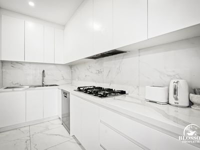 57 Ribbonwood Crescent, Marsden Park