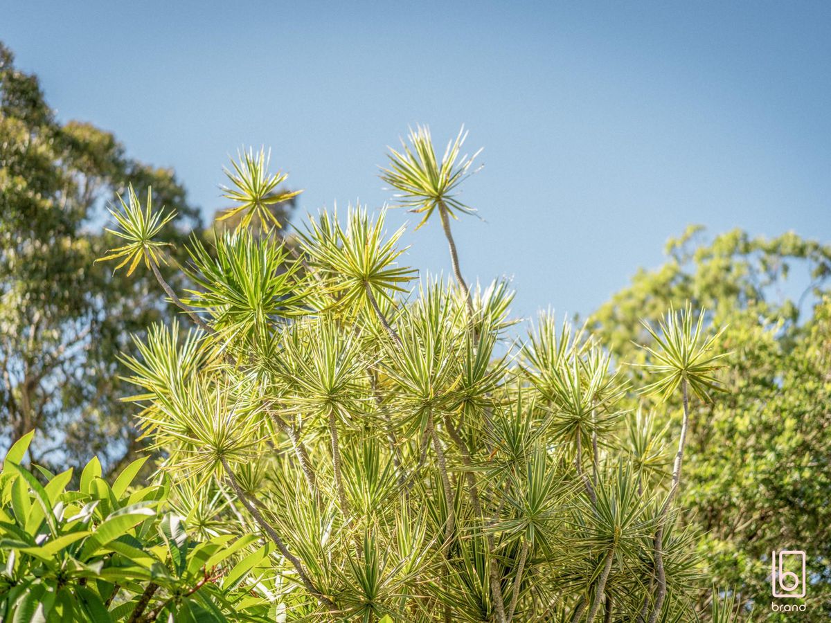 3 Renee Close, Lake Haven