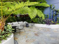 50703 / 21 Mollison Street, West End