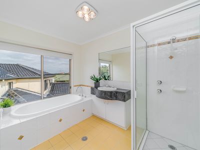 6 Albemarle Place, Cecil Hills