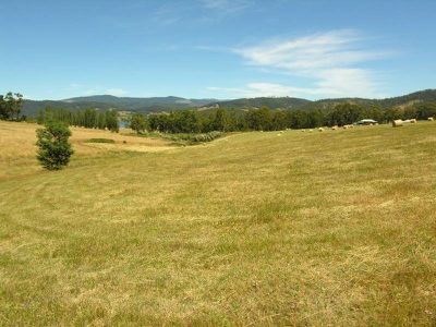 Walters Road, Wattle Grove