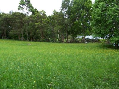 Maleny