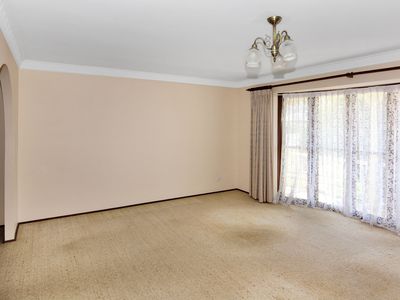 3 Hawaii Ave, Forster