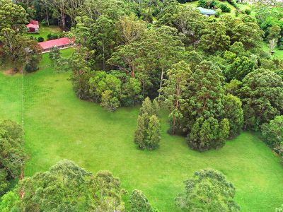 47 Birdsong Drive, Mooloolah Valley