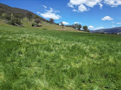 Lot 1, Sec 19, "The Block" Murray Valley Highway, Bullioh