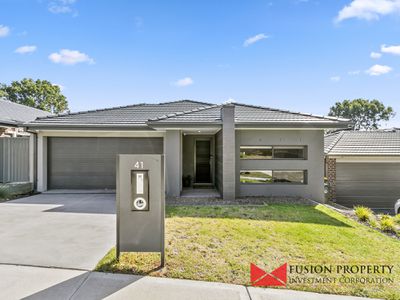 41 WILLIAM ROAD, Carrum Downs