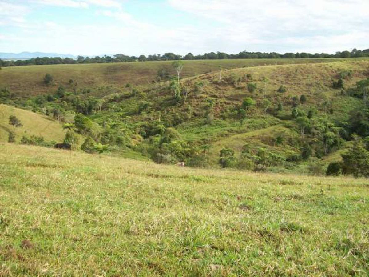 Pei Road, Malanda