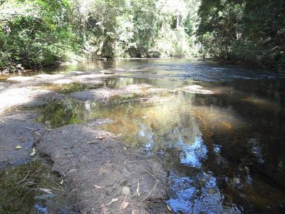 111 TreeFern Road, Kangaroo Valley
