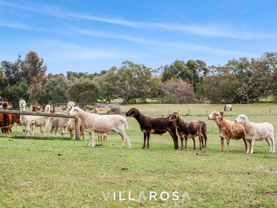 824 Teesdale-Inverleigh Road, Teesdale