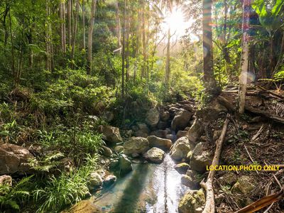 807 Left Bank Road, Mullumbimby Creek