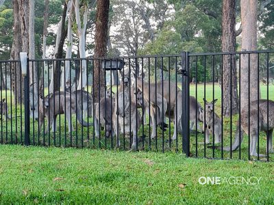 158 The Park Drive, Sanctuary Point