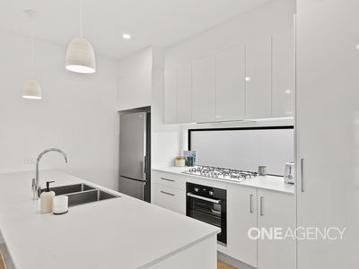 30 Premier Drive, Albion Park