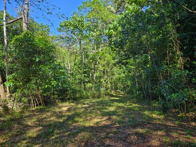 72 Mulligan Highway, Cooktown