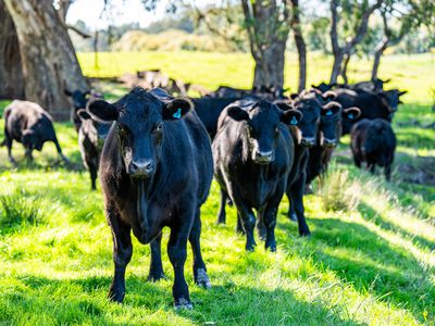 2123 Kiewa Valley Highway, Kergunyah