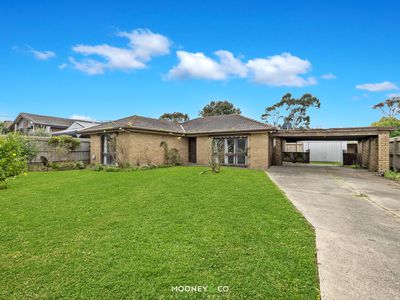 42 Houlder Avenue, Junction Village