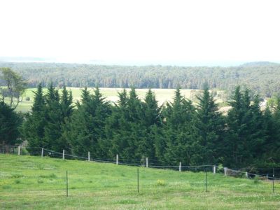 25 Eyrie Bowrie Drive, Milton