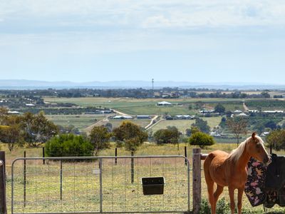 55 Clifftop Drive, Sunnyside