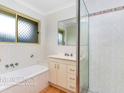 19 Colville Ct, Springfield