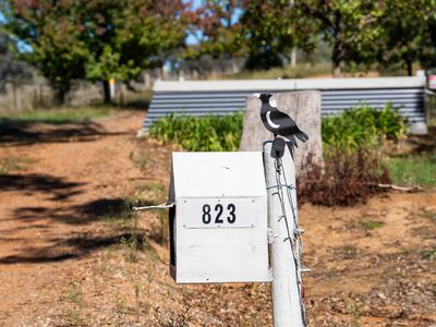 823 Woomargama Way, Woomargama