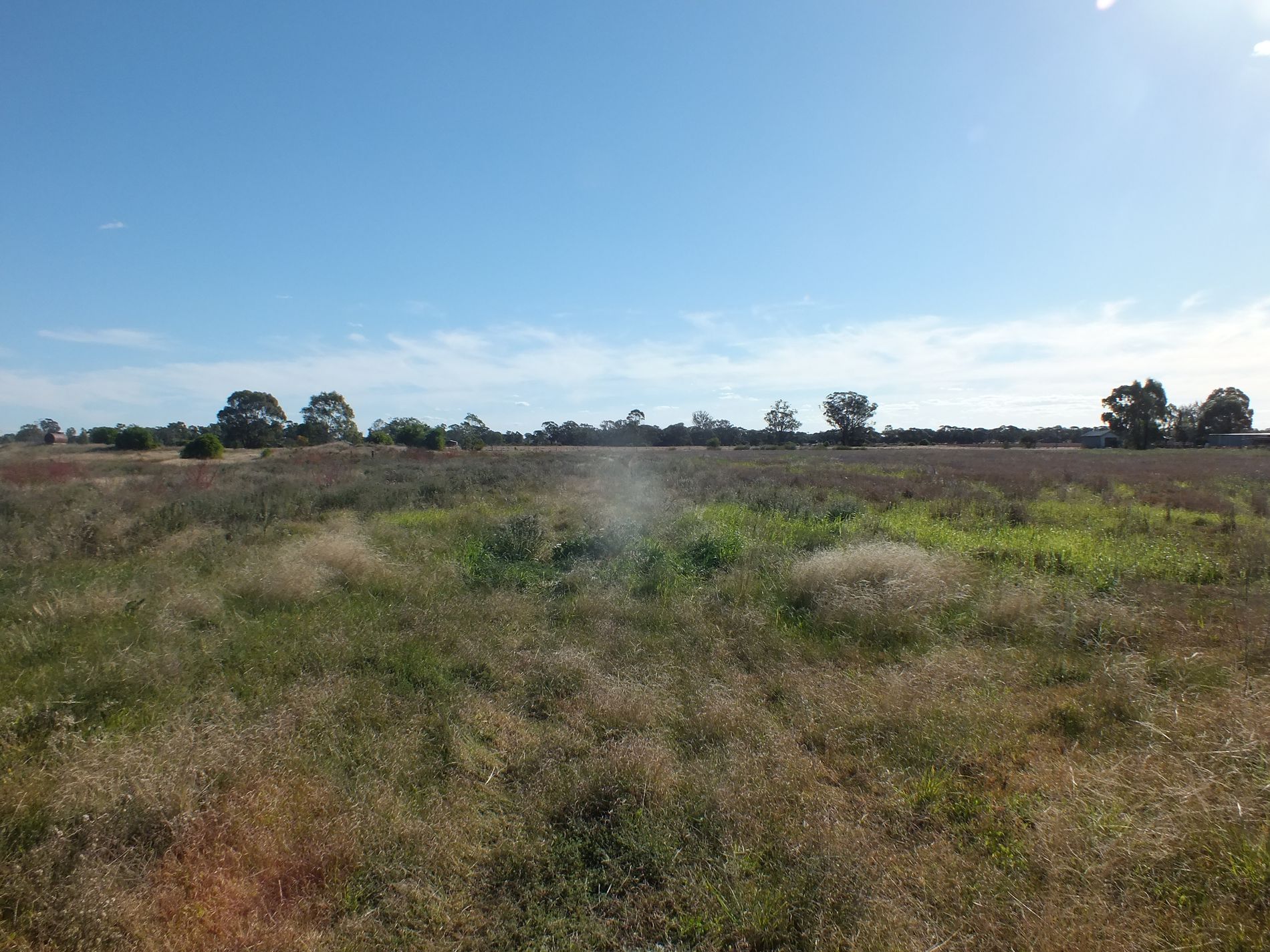 51 Connors Lane West Wyalong, West Wyalong