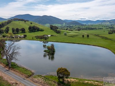 275 Soldier Settlers Road, Tallangatta Valley
