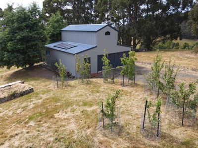 23A White Cliffs Road, Brooks Bay