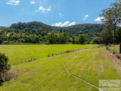 447 Terania Creek Road, Terania Creek