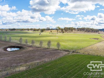Lot Plain View, 916 Emmaville Road, Glen Innes