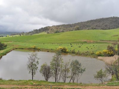 Beechworth-Wodonga Road, Wooragee