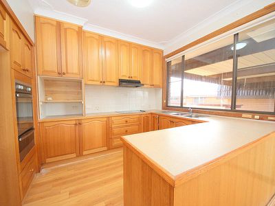 61 Lucas Avenue, Moorebank