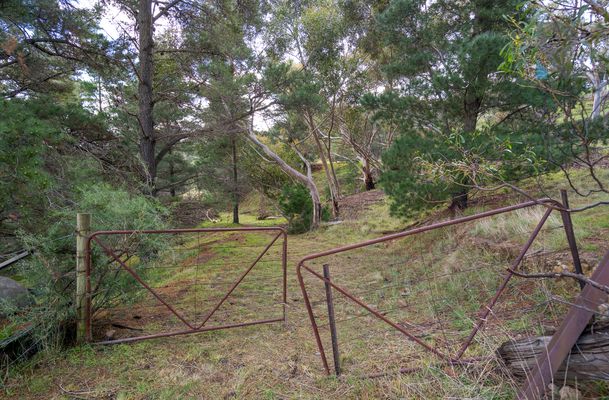 55 Kinnear Road, Mickleham