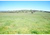 346 Avoca Road, Stuart Town