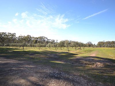 889 Buffallo Swamp Road, Nagambie