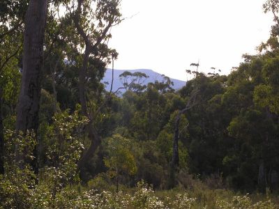 Lune River Road, Lune River