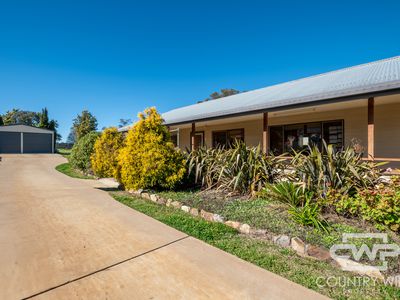 161 Macquarie Street, Glen Innes