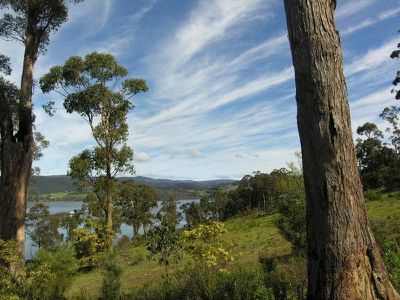 Lot 1 Cygnet Coast Road, Petcheys Bay