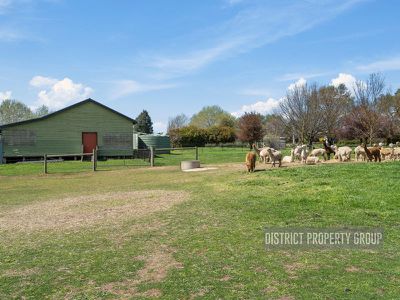 3263 Merton-Euroa Road, Merton