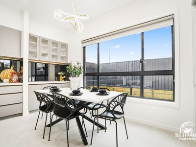 86 Feathertail Avenure, Marsden Park
