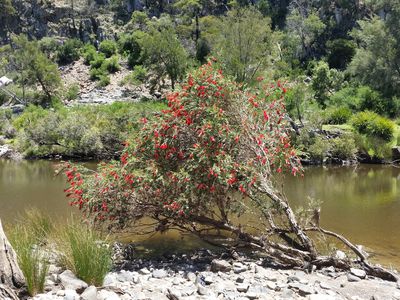 Lot 5 Billabong Waters , Glen Innes